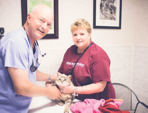 Abilene Veterinary Clinic