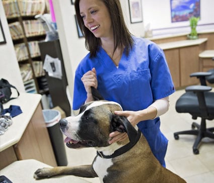 Advanced Pet Care Of Clear Lake