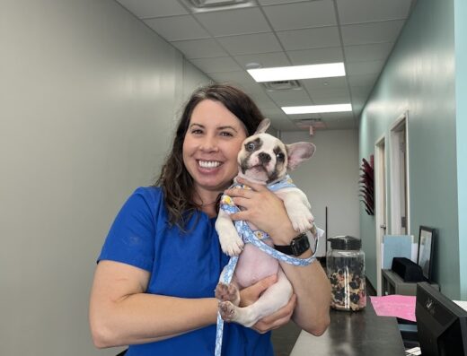 Affordable Veterinary Services Of Va