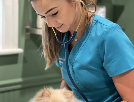 All Creatures Veterinary Clinic