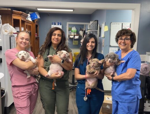 Animal House Veterinary Clinic