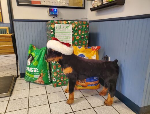 Atlantic Animal Hospital Wellness Center