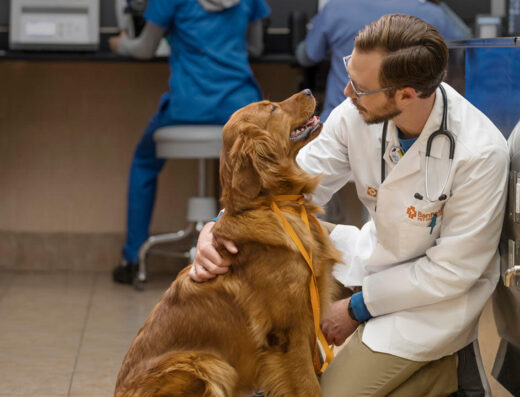 Banfield Pet Hospital