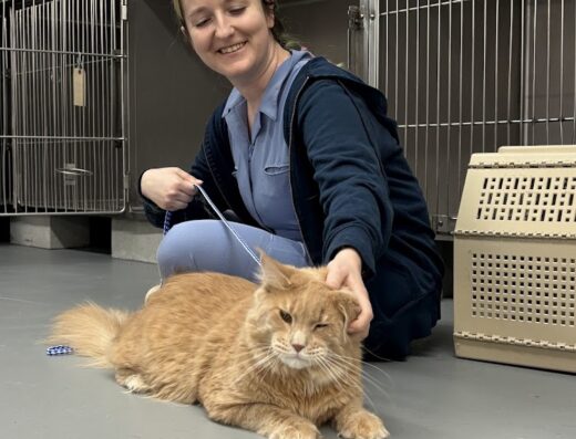 Banks Animal Hospital