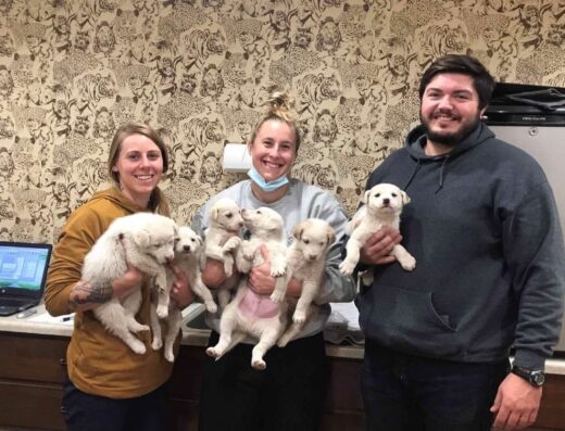 Beresford Vet Clinic Pc