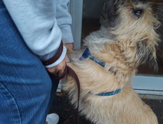 Bishopville Animal Clinic