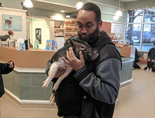 Bon Air Animal Hospital