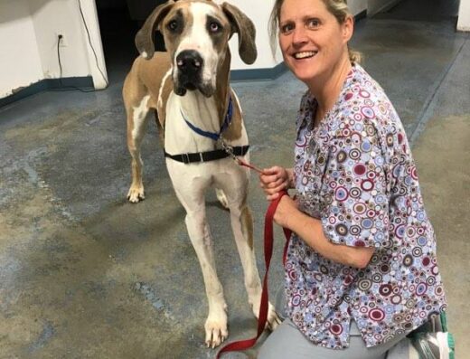 Bradford Veterinary Clinic