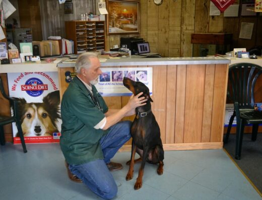 Buffalo Gap Road Animal Clinic