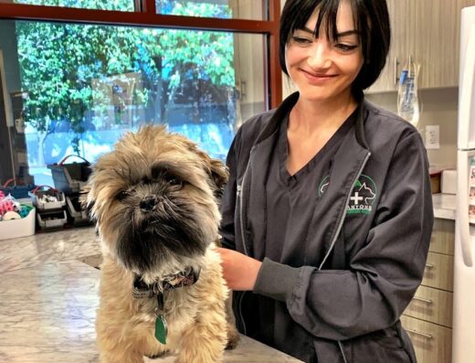 Canyons Veterinary Clinic