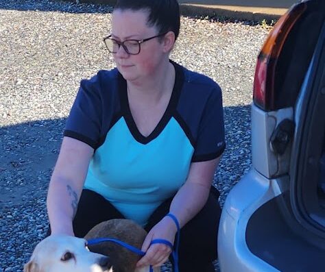 Caroline Animal Hospital