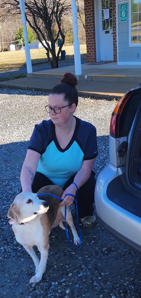 Caroline Animal Hospital