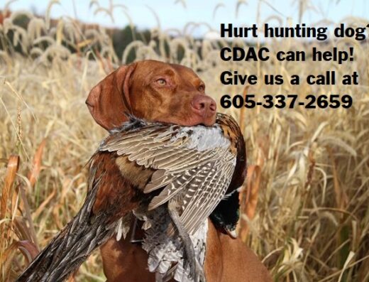 Central Dakota Animal Clinic