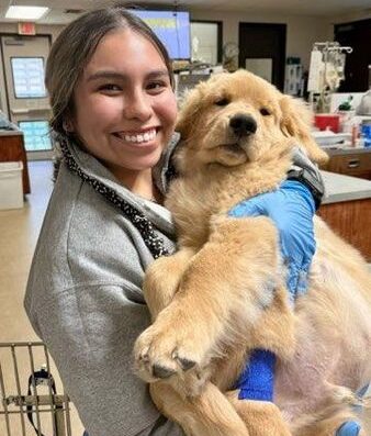 Central Texas Veterinary Speciality And Emergency Hospital Round Rock