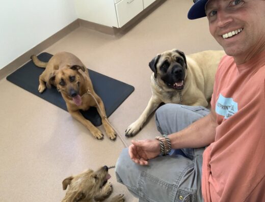 Champlain Veterinary Clinic