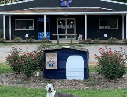 Chapin Veterinary Hospital