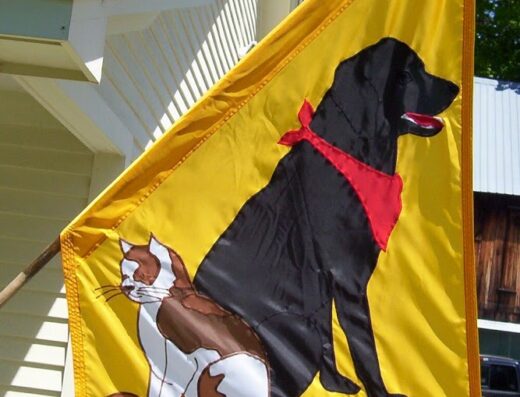 Chelsea Animal Hospital