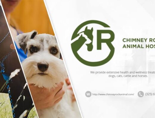 Chimney Rock Animal Hospital