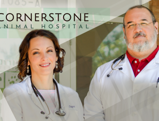 Cornerstone Animal Hospital