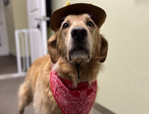 Countryside Animal Clinic