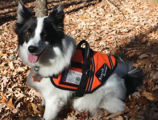 Cowesett Animal Hospital