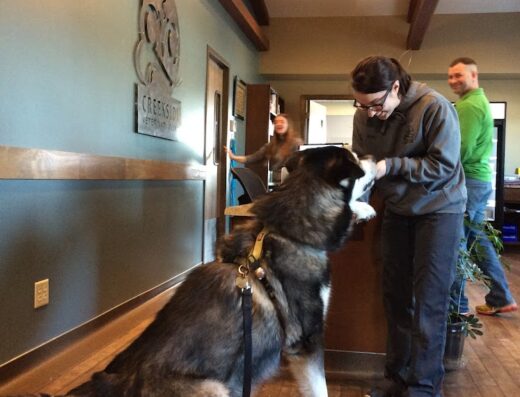 Creekside Veterinary Clinic