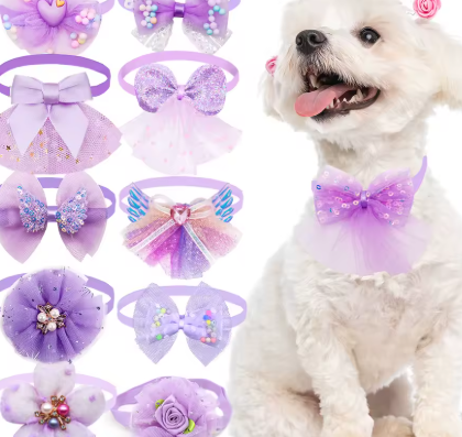 Dog wearing a purple bow tie with various purple bows and headbands displayed.
