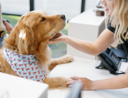 Duncan Animal Hospital