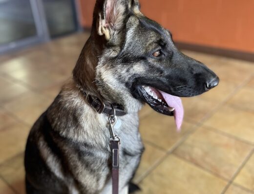 East Tennessee Veterinary Hospital