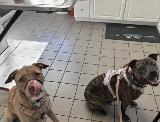 Eastside Veterinary Clinic