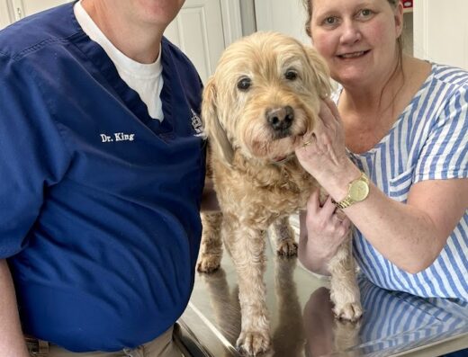 Elm Hill Veterinary Clinic