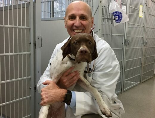 Essex Veterinary Center