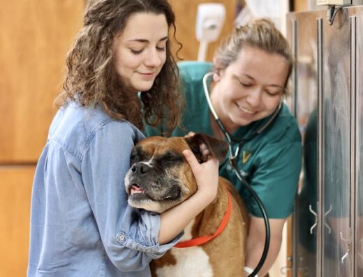 Fayetteville Animal Clinic