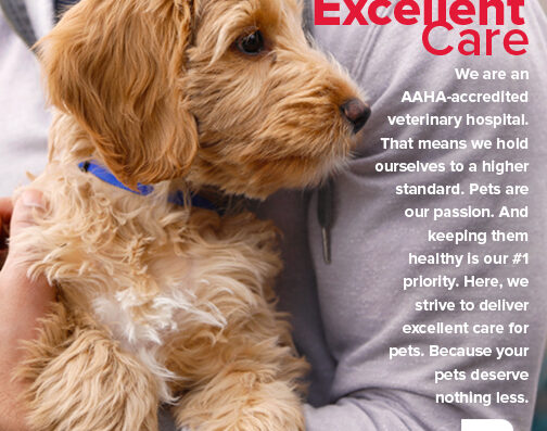 Flowertown Animal Hospital