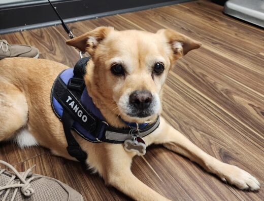 Frontier Vet Express