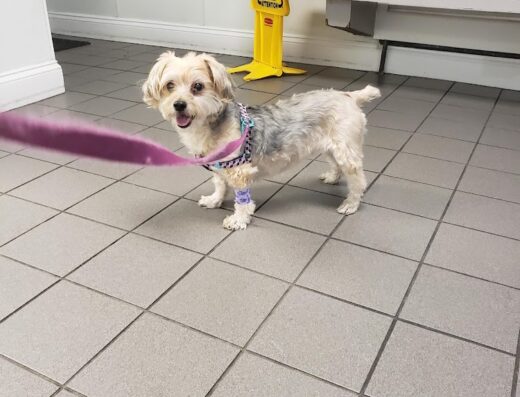 Gansett Animal Hospital