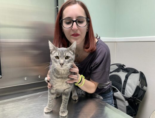 Garners Ferry Animal Hospital