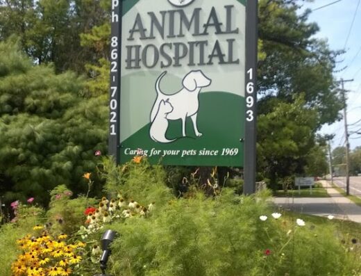 Green Mountain Animal Hospital