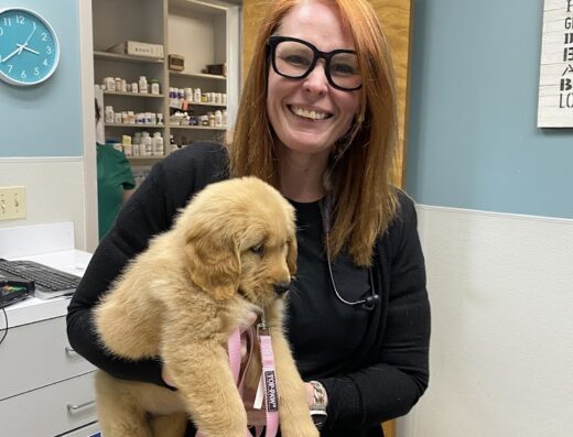 Gregg Animal Hospital