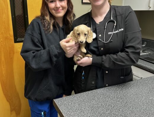 Healthpointe Veterinary Clinic