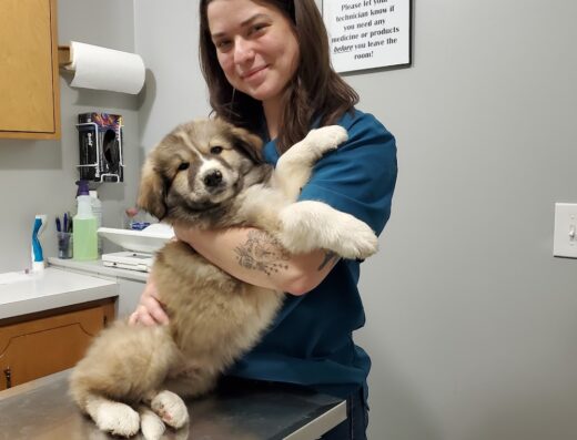 Hickman Veterinary Hospital Inc