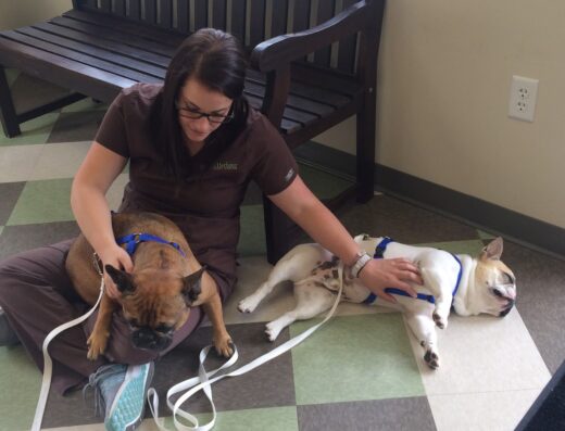 Hill Harbour Veterinary Center