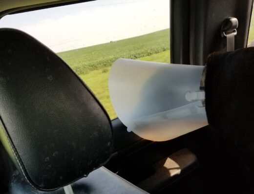 Hosmer Veterinary Clinic