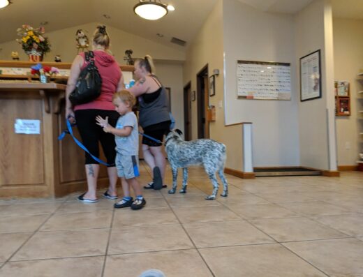 Hunter Animal Hospital