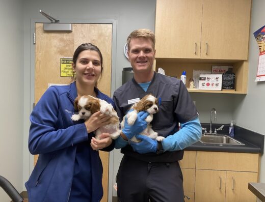 Integrity Animal Health Group