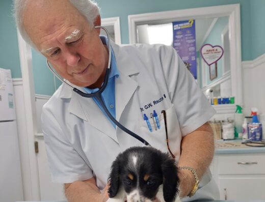 Johnston Animal Hospital