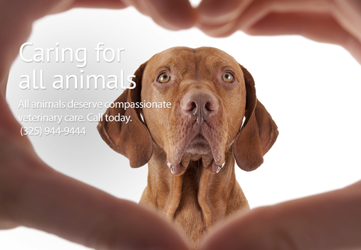 Knickerbocker Road Animal Hospital