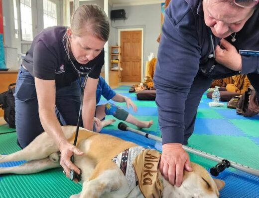 Lake Murray Animal Hospital