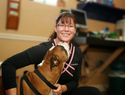 Lewis Veterinary Clinic