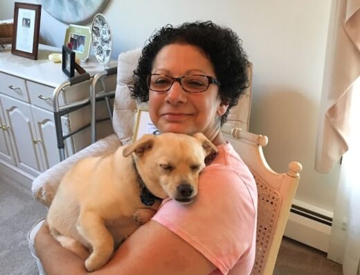 Lincoln Animal Hospital